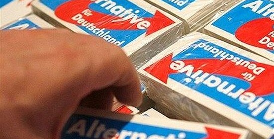 My jsme národ. Strategie a problémy AfD před volbami 2017