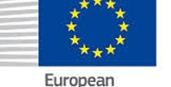 Rok poté: Akční plán EU pro integraci a začlenění na období 2021–2027