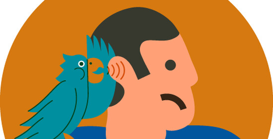 Inspirativní projekt: Kampaň Nepodporujte pomluvy! z portugalské Amadory