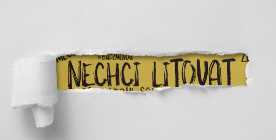 Inspirativní projekt: Nechci litovat