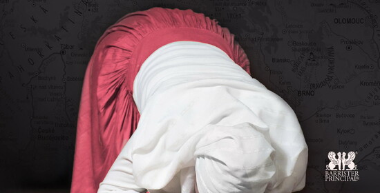 Muslimové v Česku - Etablování muslimů a islámu na veřejnosti