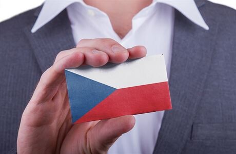 Potíže s lhůtami při vyřizování žádostí o udělení českého občanství