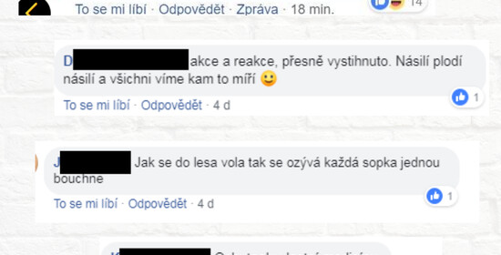 Schvalování trestných činů na sociálních sítích